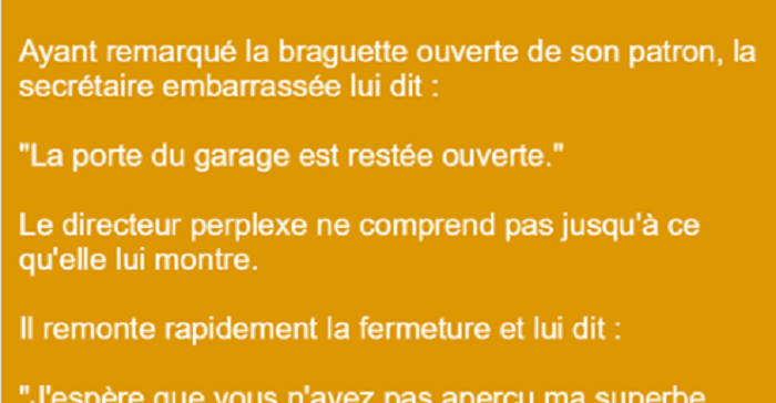 Blague Une Secretaire Voit La Braguette Grande Ouverte De Son Patron